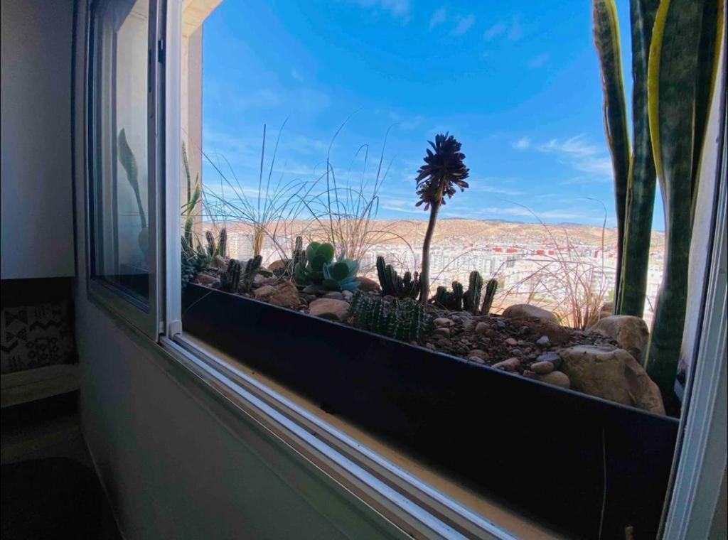 Apartament Sun Rise Islan Appart Agadir Zewnętrze zdjęcie